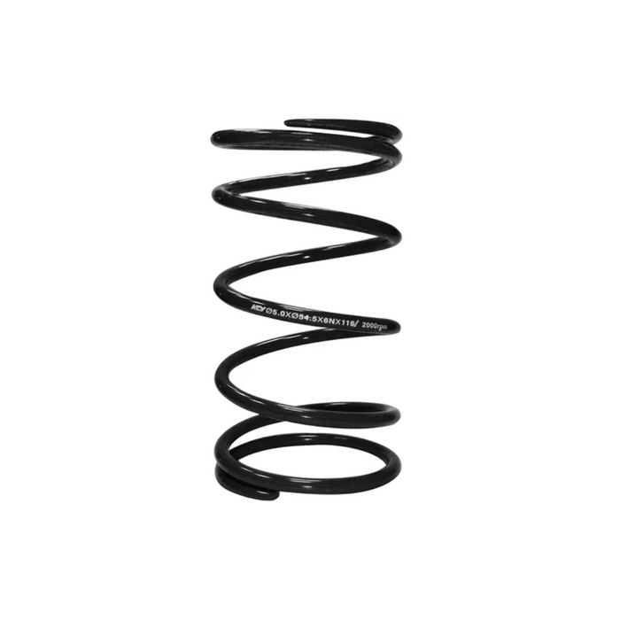 Clutch Spring Torque NCY '09-'21